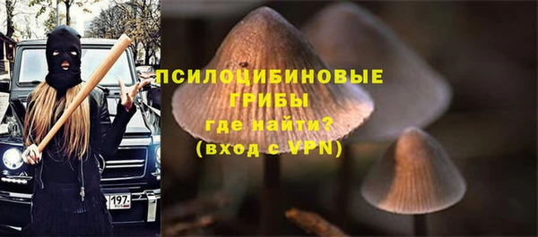 дживик Баксан