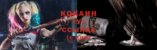 дживик Баксан