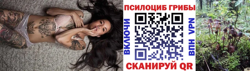 Псилоцибиновые грибы Psilocybine cubensis  Углич 